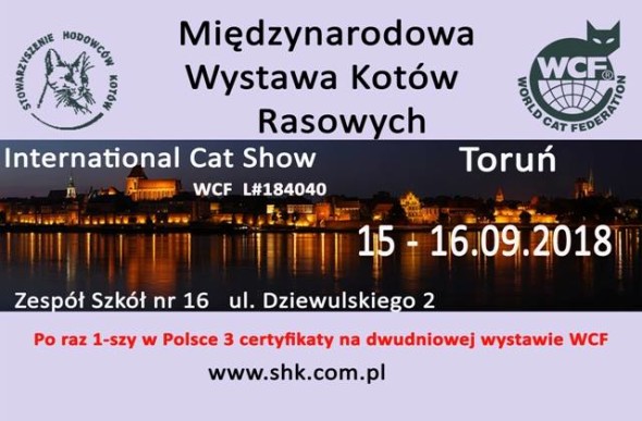 WYSTAWA12