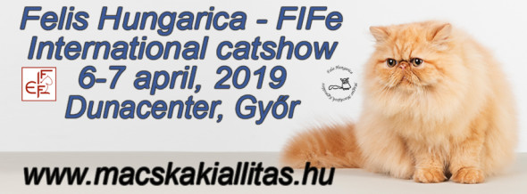 Medzinárodnávýstava mačiek 6-7 apríl Győr,Dunacenter