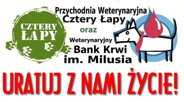WYSTAWA1