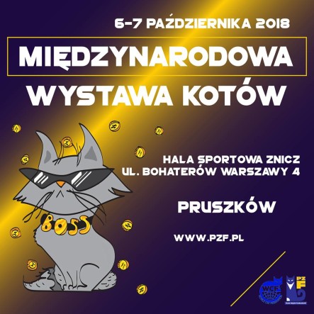 WYSTAWA15