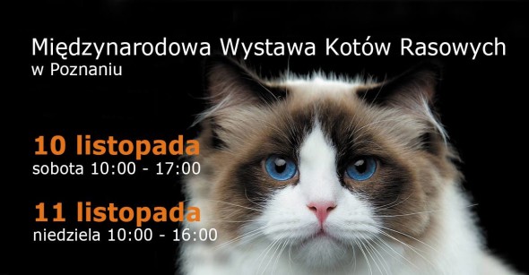 WYSTAWA16