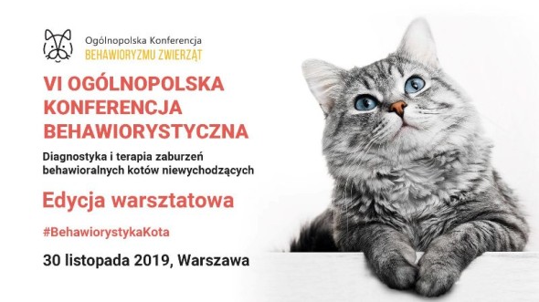 WYSTAWA17