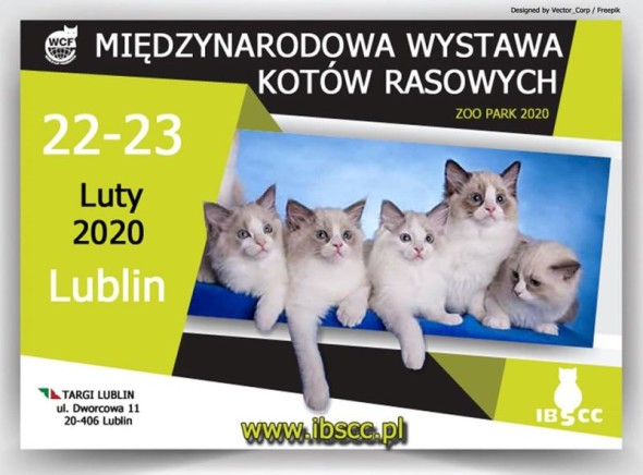 WYSTAWA17