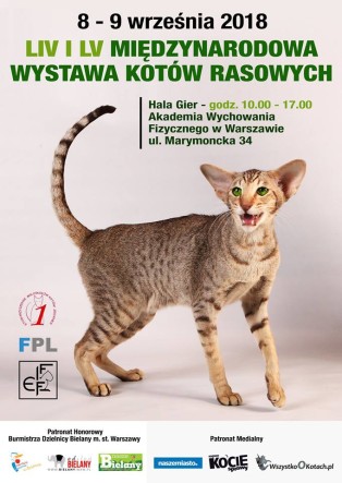 WYSTAWA1