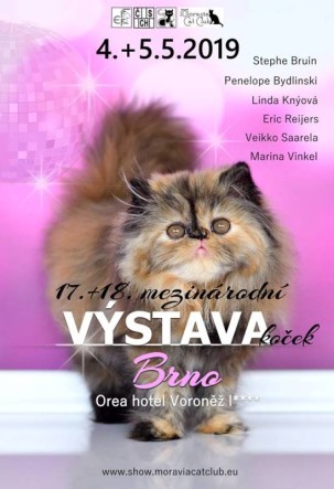 WYSTAWA18
