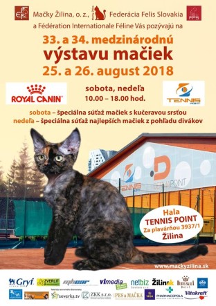 WYSTAWA2