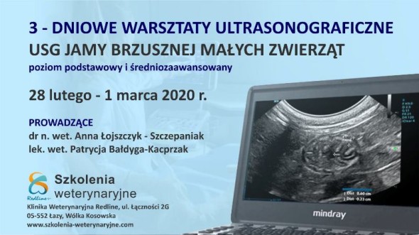 WYSTAWA2POKAZLUTY