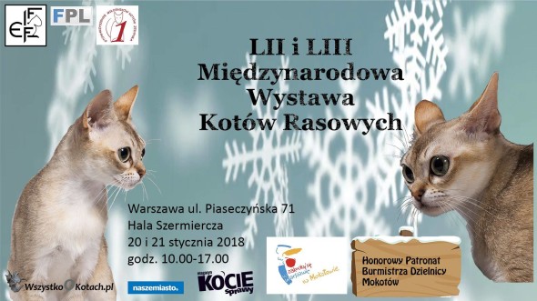 WYSTAWA3