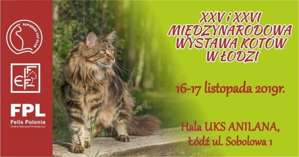 WYSTAWA3