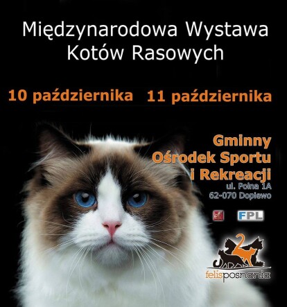 WYSTAWA3
