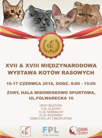WYSTAWA4