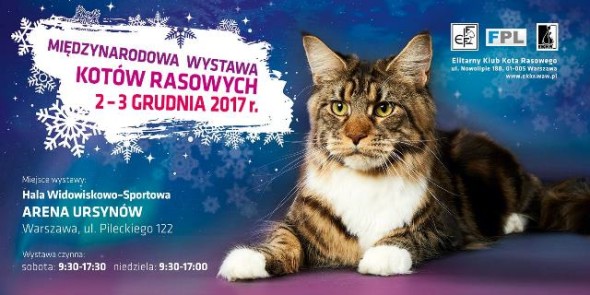 WYSTAWA5