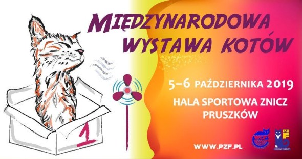 WYSTAWA6