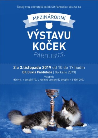 WYSTAWA6
