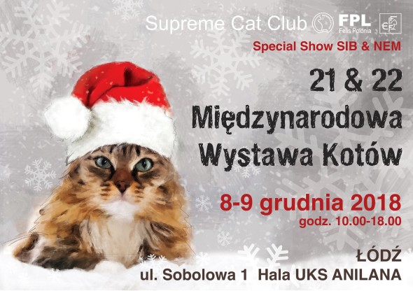 WYSTAWA6