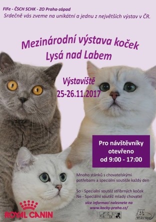 WYSTAWA7