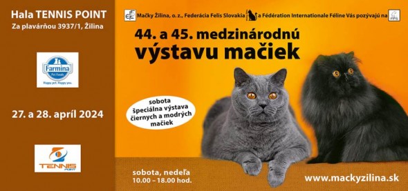 WYSTAWAKWIECIEŃ4