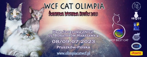 WYSTAWALIPIEC1