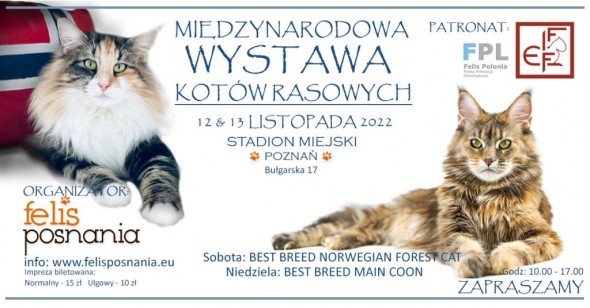WYSTAWALISTOPAD1