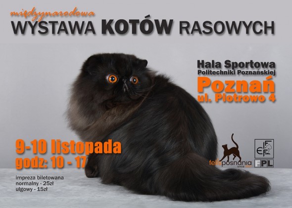 WYSTAWALISTOPAD