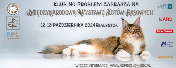 WYSTAWAPAZDZIERNIK3