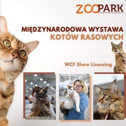 WYSTAWAPAZDZIERNIK4