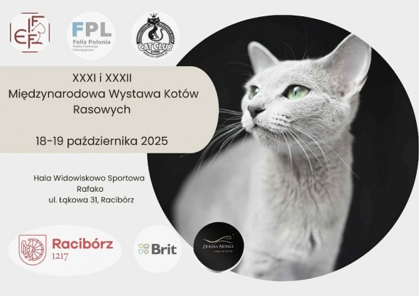 WYSTAWAPAZDZIERNIK7