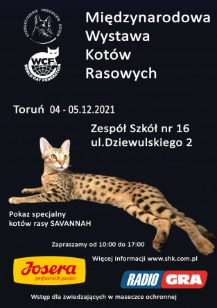 WYSTAWYGRUDZIEN2