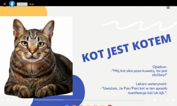 Zrzut ekranu 2022-08-17 184647