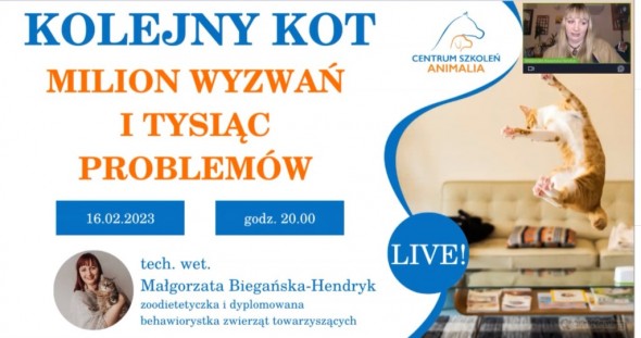 Zrzut ekranu 2023-02-16 201300