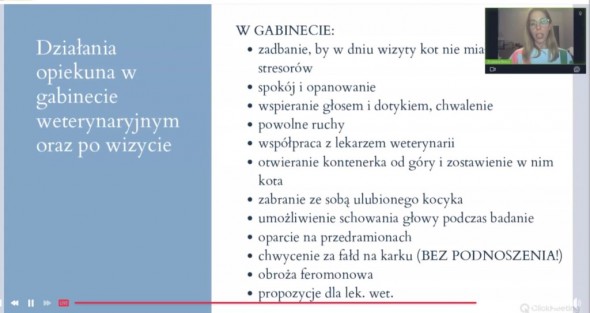 Zrzut ekranu 2023-03-23 203317