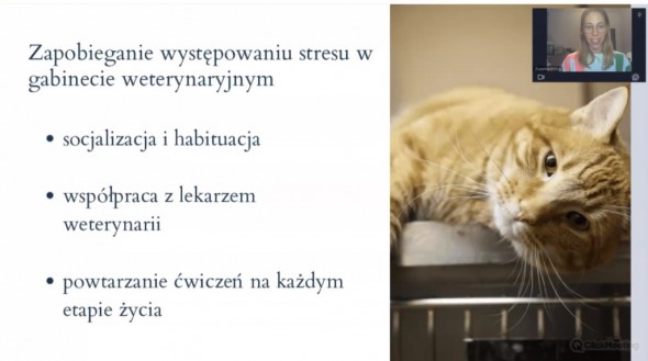 Zrzut ekranu 2023-03-23 203901