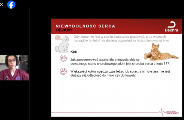 Zrzut ekranu 2024-03-05 011025