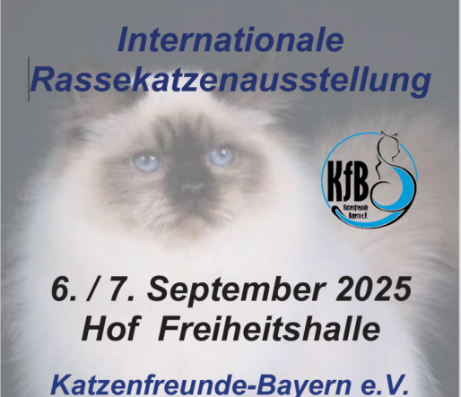 Zrzut ekranu 2025-09-07 234648