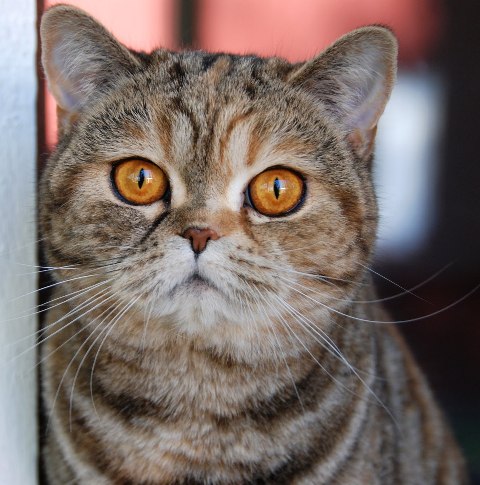 abby200915_3
