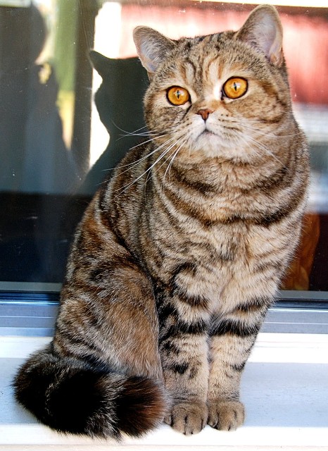 abby200915_5