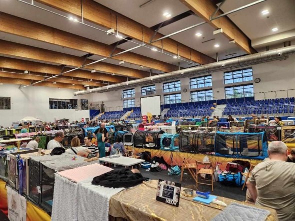 b21045bf-69ee-45bc-9744-dbdd8eec7d91