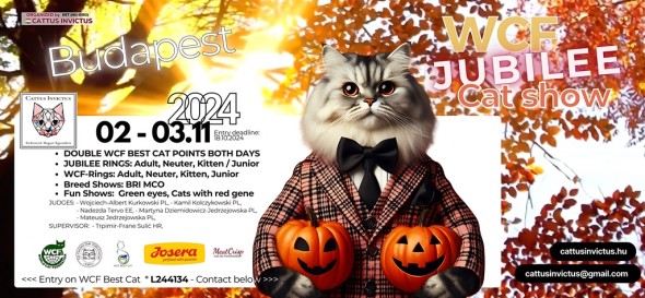flyer1-4041b5bf