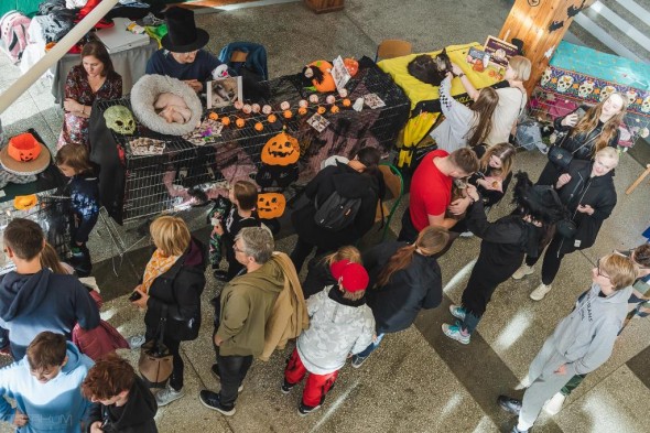 koty_halloween_27