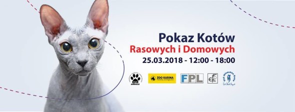 pokaz sopot