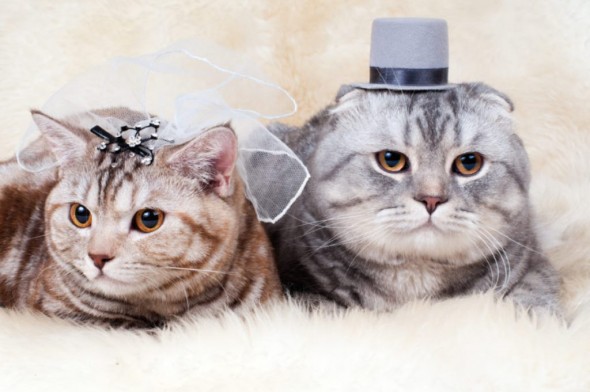 shutterstock_91960928-864x575