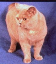sw002